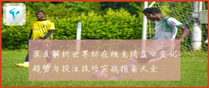 深度解析世界杯在线竞猜盘口变化趋势与投注技巧实战指南大全