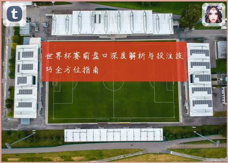 世界杯赛前盘口深度解析与投注技巧全方位指南