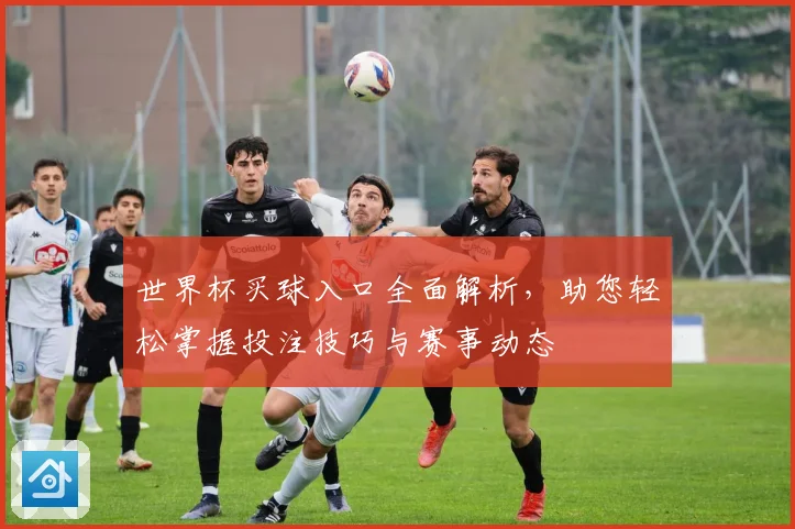 世界杯买球入口全面解析，助您轻松掌握投注技巧与赛事动态