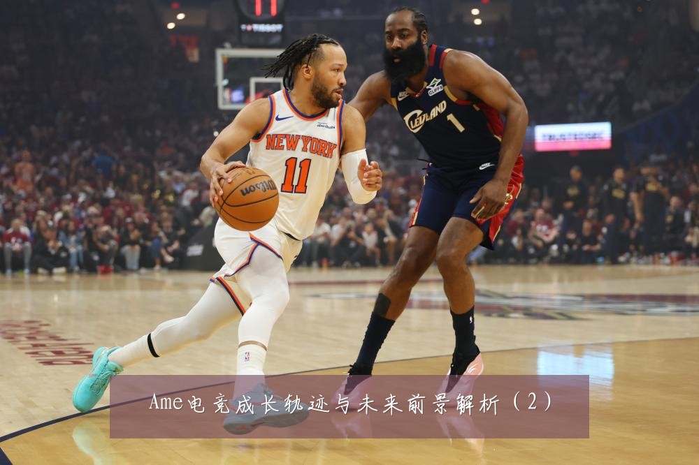Ame电竞成长轨迹与未来前景解析(2)