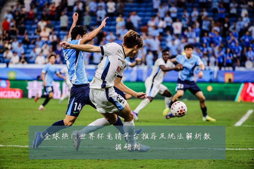 全球热门世界杯竞猜平台推荐及玩法解析数据研判